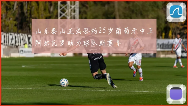 山东泰山正式签约25岁葡萄牙中卫阿尔瓦罗助力球队新赛季