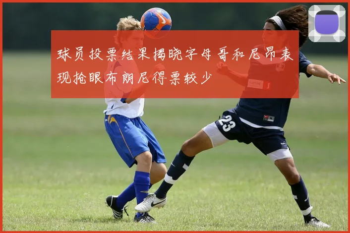 球员投票结果揭晓字母哥和尼昂表现抢眼布朗尼得票较少