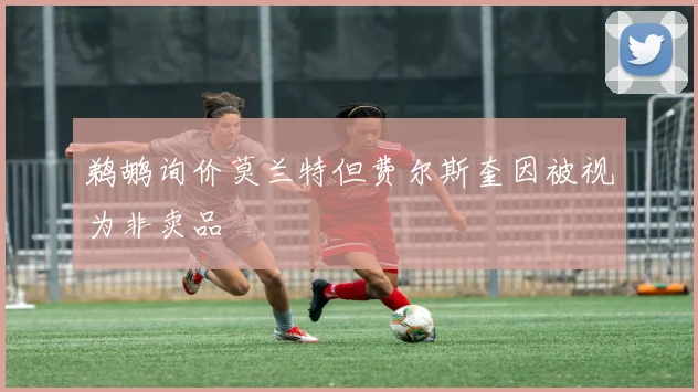鹈鹕询价莫兰特但费尔斯奎因被视为非卖品
